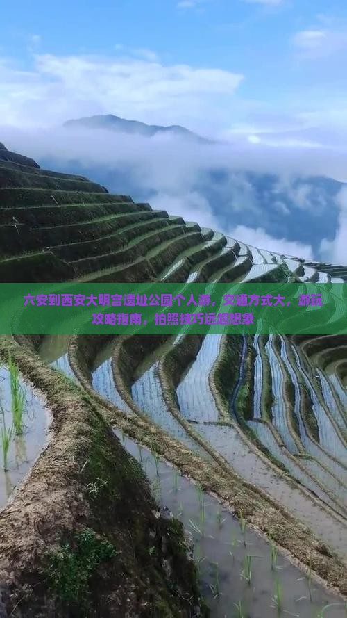 六安到西安大明宫国家遗址公园个人游