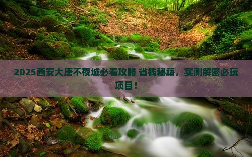 二月去西安大唐不夜城旅游