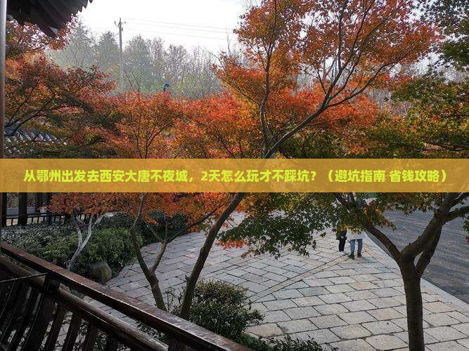 鄂州到西安大唐不夜城二日游