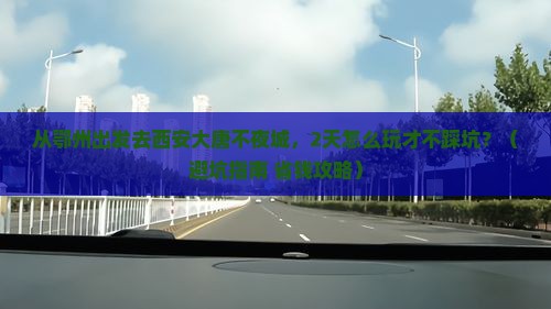 鄂州到西安大唐不夜城二日游