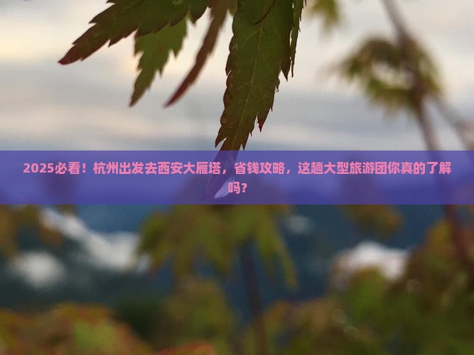 杭州去西安大雁塔大型旅游团