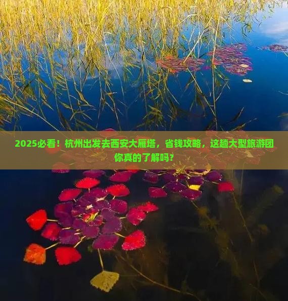 杭州去西安大雁塔大型旅游团