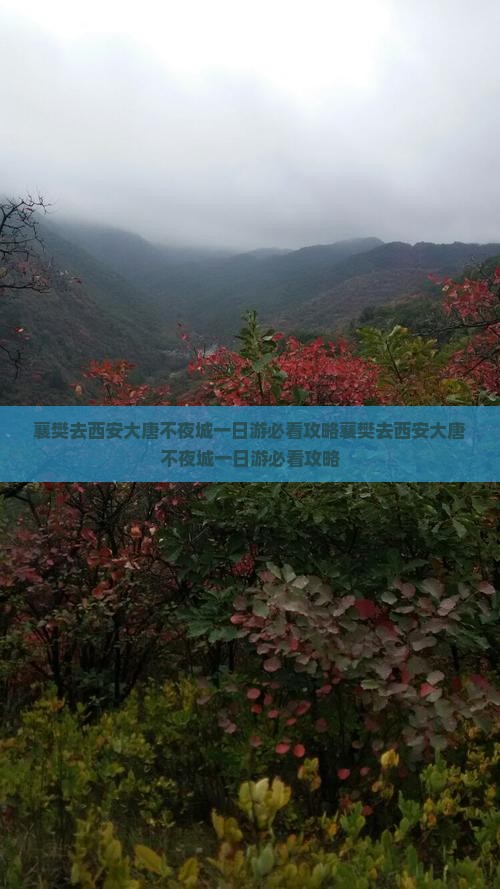 襄樊去西安大唐不夜城一日游