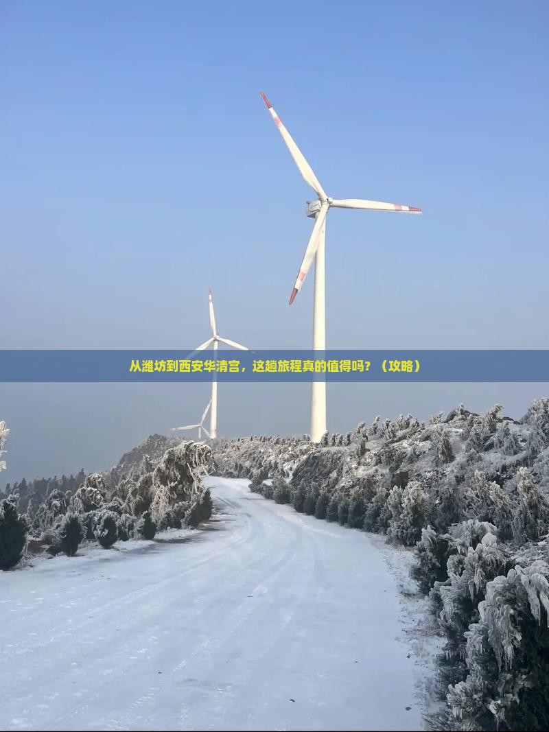 潍坊到西安华清宫旅游