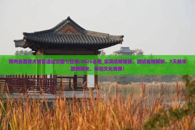 朔州去西安大明宫国家遗址公园七日游