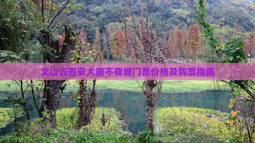 文山去西安大唐不夜城门票