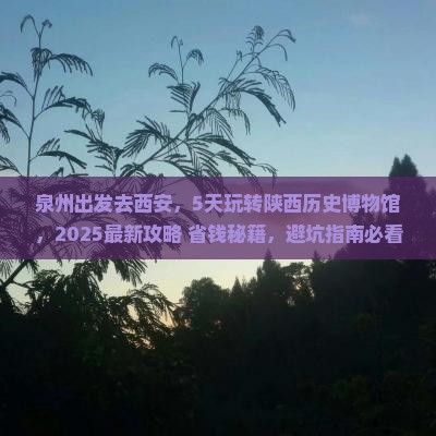 泉州去西安陕西历史博物馆五日游