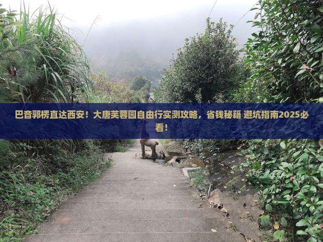 巴音郭楞去西安大唐芙蓉园自由行