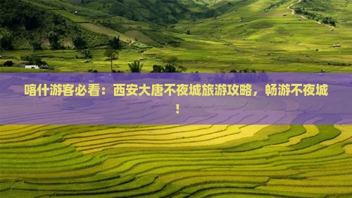 喀什去西安大唐不夜城哪里玩