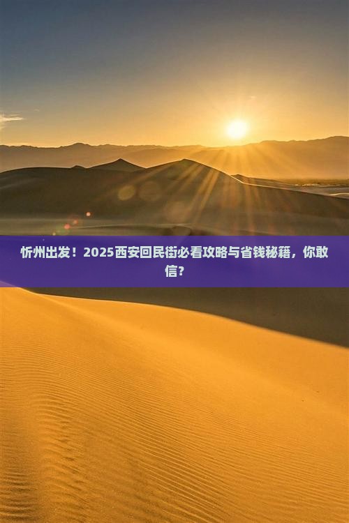 忻州到西安回民街旅游