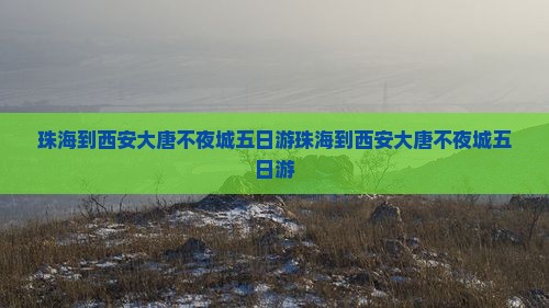 珠海到西安大唐不夜城五日游