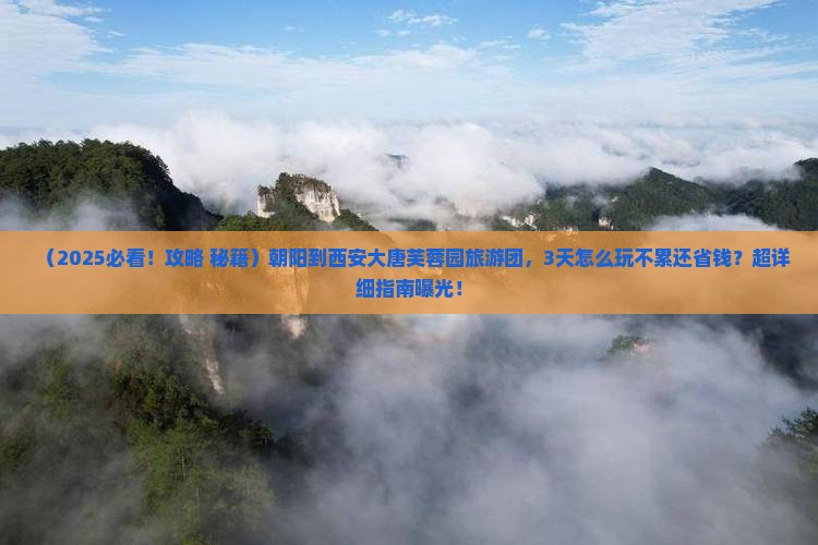 朝阳到西安大唐芙蓉园大型旅游团