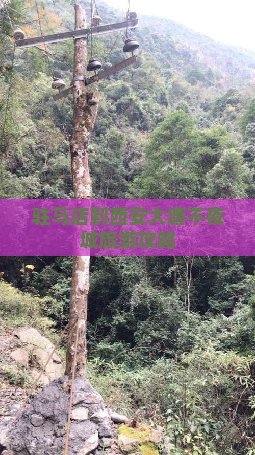 驻马店到西安大唐不夜城自由行