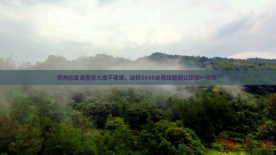 杭州去西安大唐不夜城旅行社