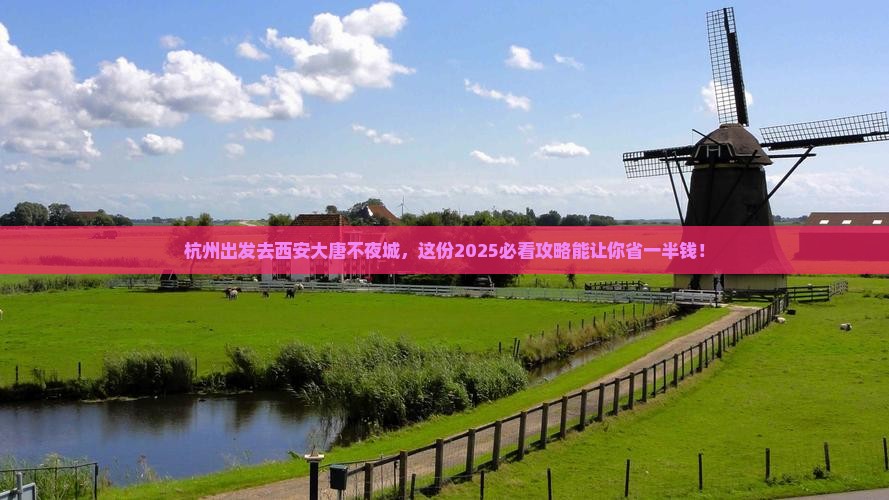 杭州去西安大唐不夜城旅行社