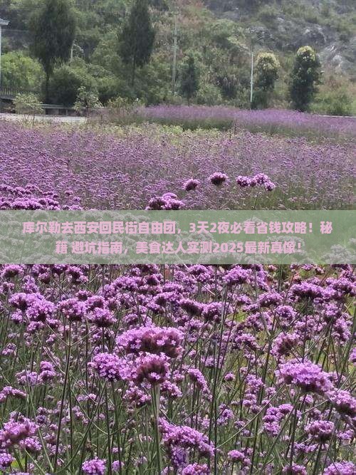 库尔勒去西安回民街自由团