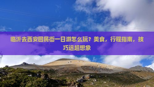 临沂去西安回民街一日游
