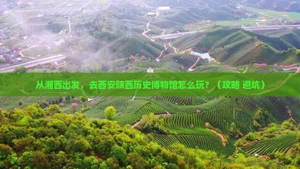 湘西去西安陕西历史博物馆景点