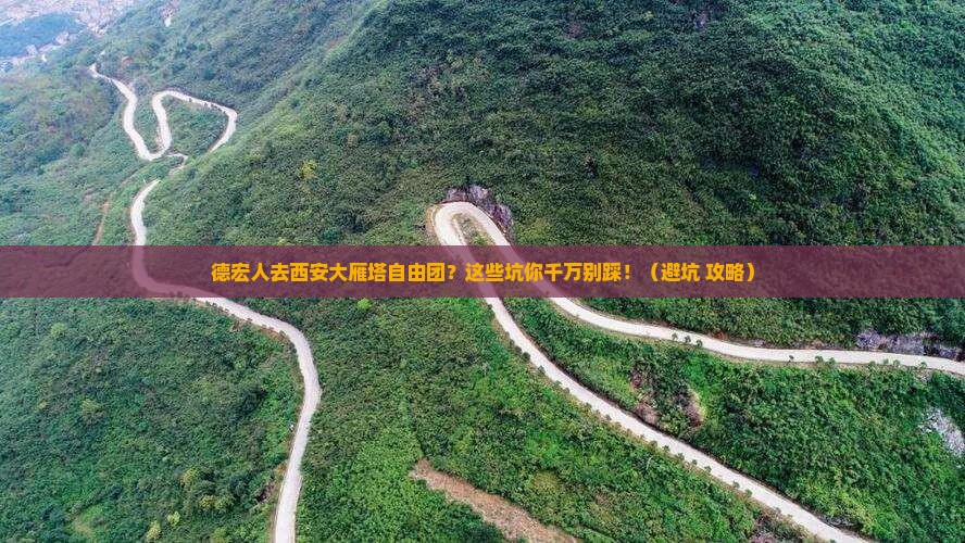 德宏去西安大雁塔自由团