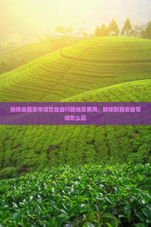 蚌埠去西安华清宫自由行