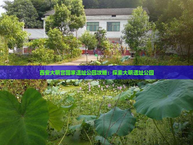 五月到西安大明宫国家遗址公园攻略