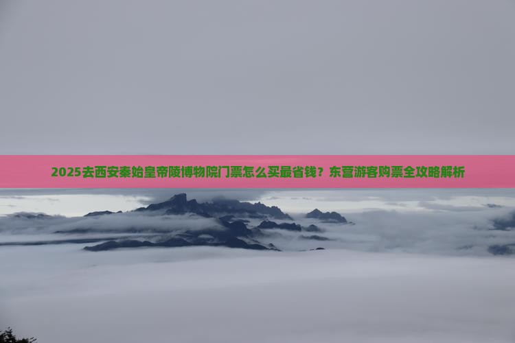 东营去西安秦始皇帝陵博物院门票