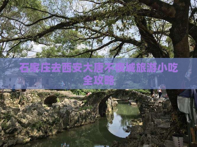 石家庄去西安大唐不夜城旅游小吃