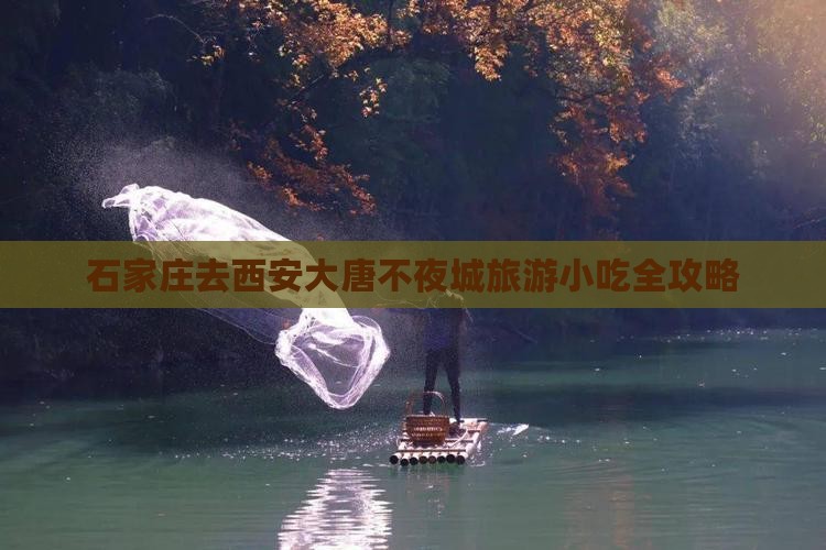 石家庄去西安大唐不夜城旅游小吃