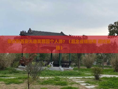 肇庆去西安大唐芙蓉园个人游