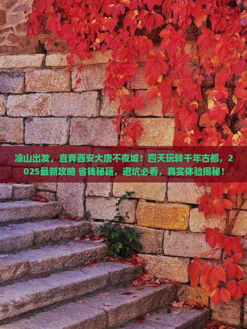 凉山到西安大唐不夜城四日游