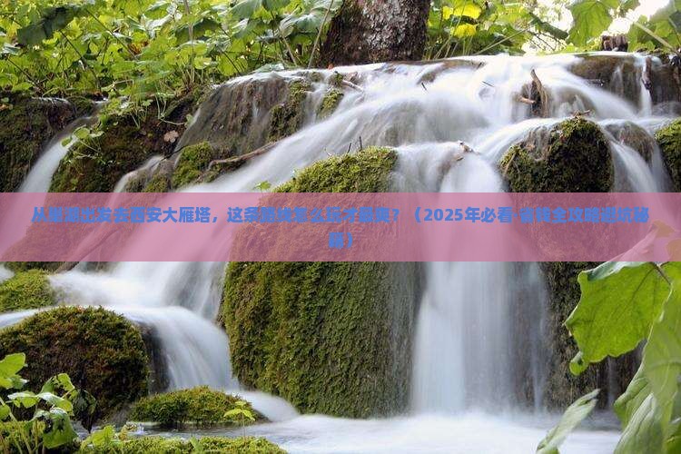 巢湖到西安大雁塔旅行社