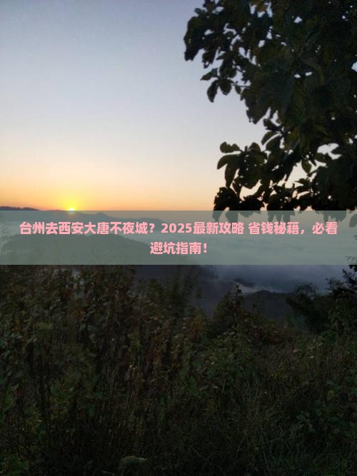 台州去西安大唐不夜城必去地