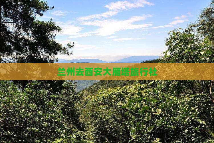 兰州去西安大雁塔旅行社