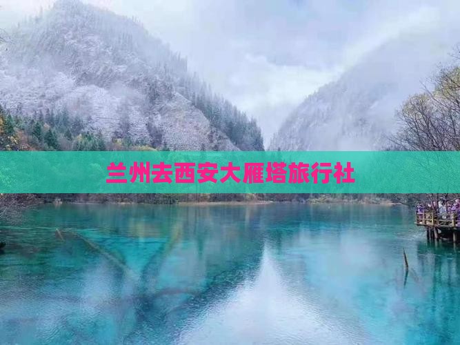 兰州去西安大雁塔旅行社