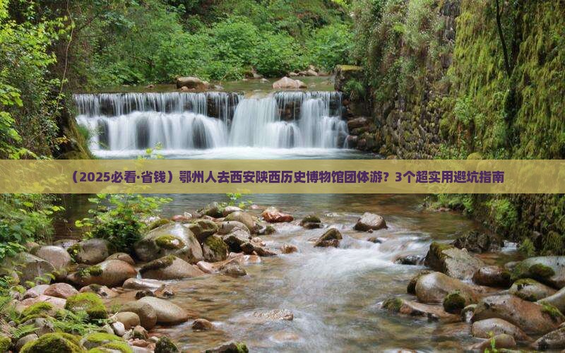鄂州到西安陕西历史博物馆团体旅游