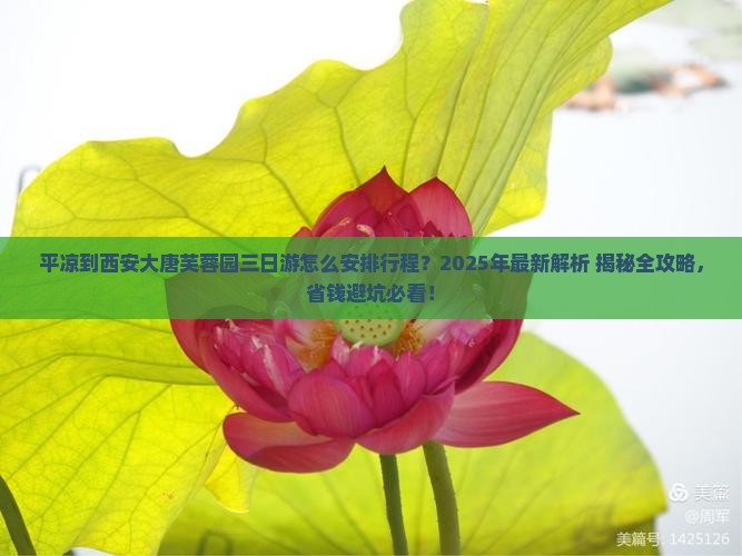 平凉到西安大唐芙蓉园三日游