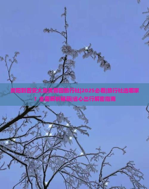 资阳到西安大唐芙蓉园旅行社