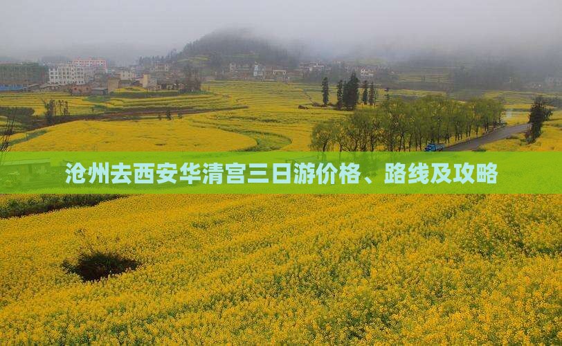 沧州去西安华清宫三日游