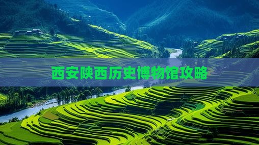 楚雄到西安陕西历史博物馆攻略