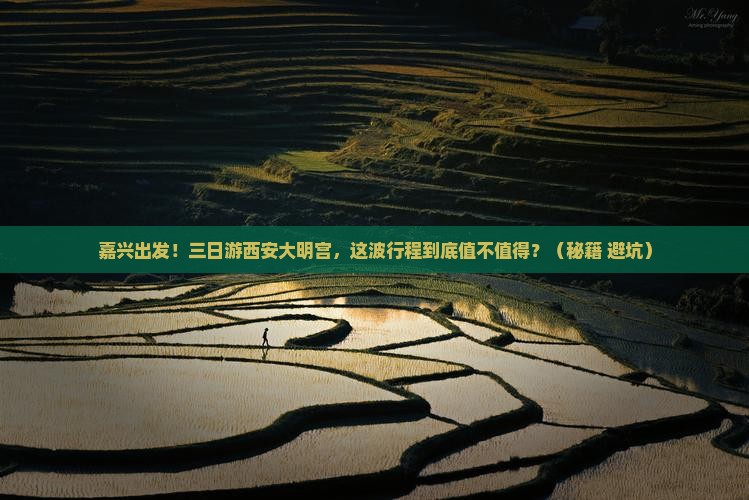 嘉兴去西安大明宫国家遗址公园三日游