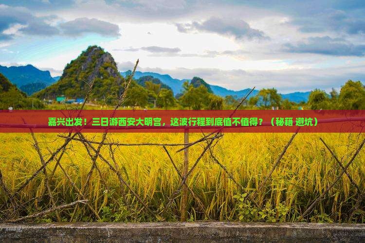 嘉兴去西安大明宫国家遗址公园三日游