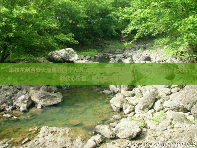 攀枝花到西安大唐芙蓉园个人游