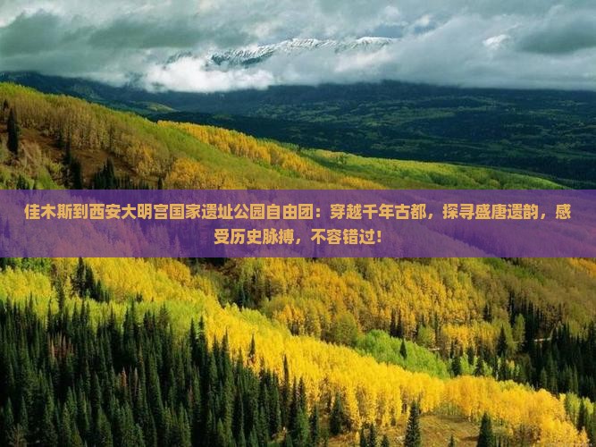 佳木斯到西安大明宫国家遗址公园自由团