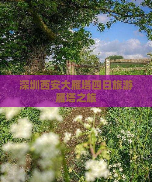 深圳到西安大雁塔四日游