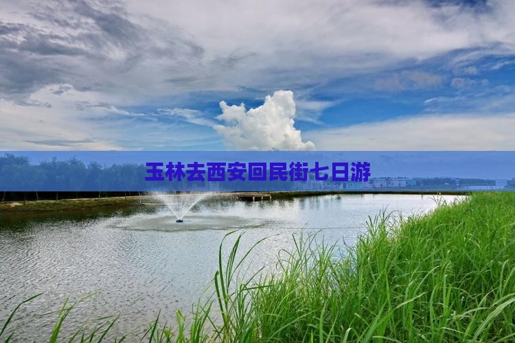 玉林去西安回民街七日游