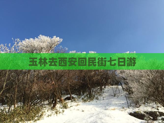 玉林去西安回民街七日游