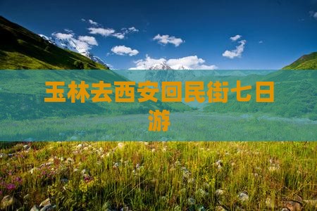 玉林去西安回民街七日游