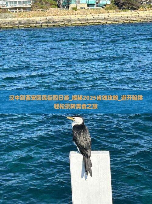 汉中到西安回民街四日游