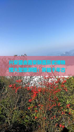 兴安盟去西安陕西历史博物馆大型旅游团