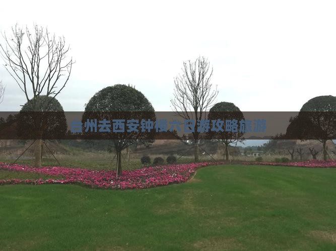台州去西安钟楼六日游